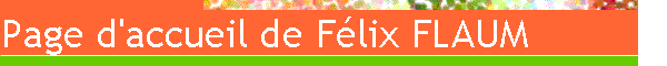 Page d'accueil de Flix FLAUM